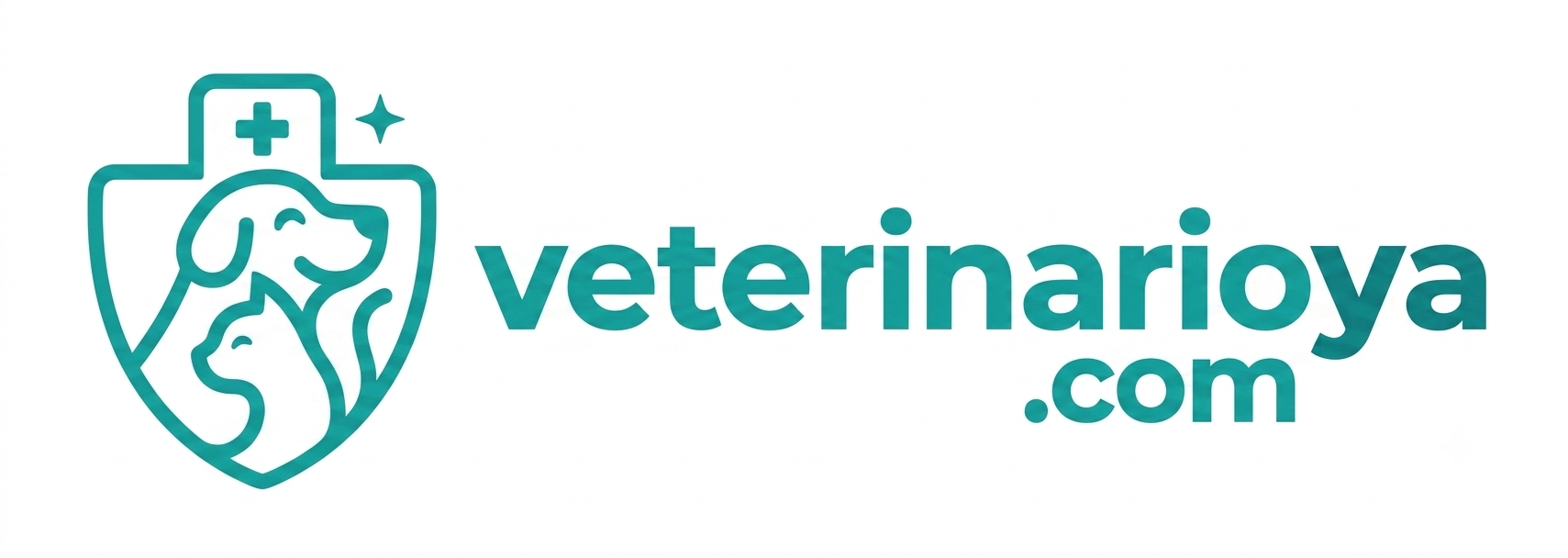 veterinario consulta